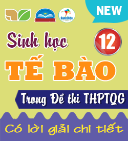 Sinh học Tế Bào (VD_VDC)